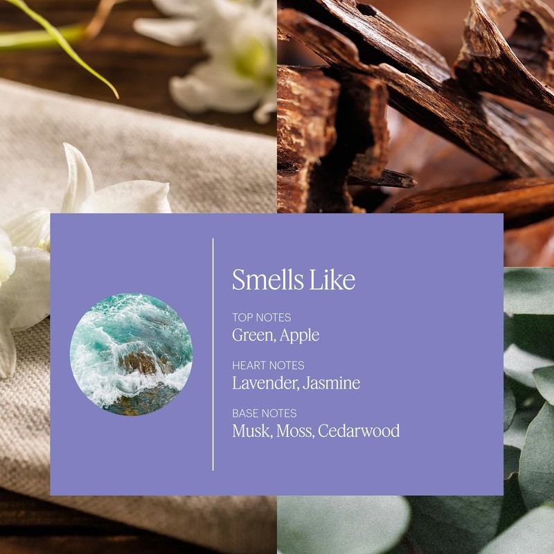 Aera Mini Soft Pants - Essential Oil for Home –