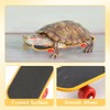 Mini Turtle Skateboard for Small Pets - Fun Tortoise Skateboard