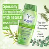 Vagisil Healthy Detox Intimate Wash for Women, Gynaecologist Tested, Hypoallergenic