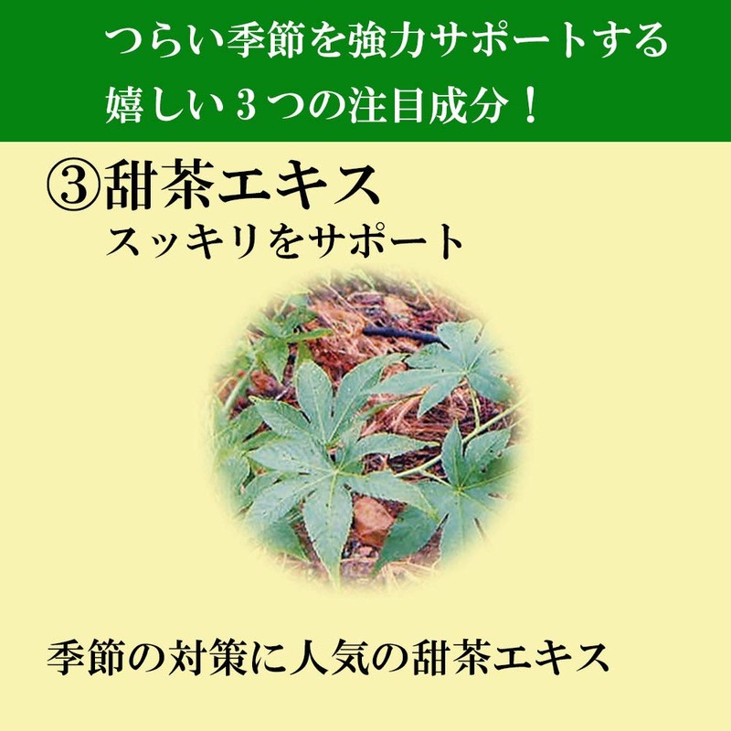 山田養蜂場 花粉ケアＥＸ 120粒／袋入 [ プロポリス 花粉荷 甜茶 ]