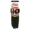 SHAKE-N-GO Cuban Twist Braid 12" (TWO-TONE MEDIUM AUBURN T30)