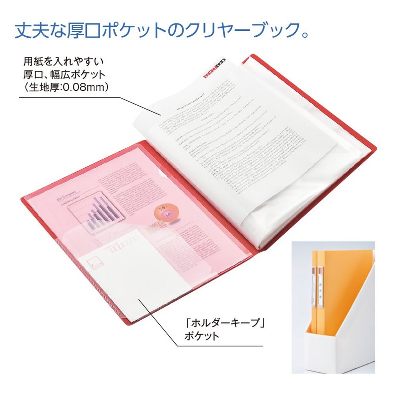 Lihit Lab File Clear Book A4, 20 Pockets, Light Green