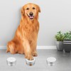 Mipcase Dog Training Scent Tins: 12pcs Dog Scent Training Box