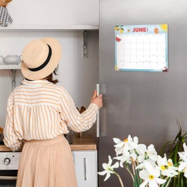 ZICOTO Beautiful Magnetic Fridge Calendar Runs From March 2024 Until December 2025