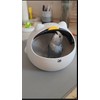 Cat-Shaped Bird Nest House, White Dome Design with Black Window,