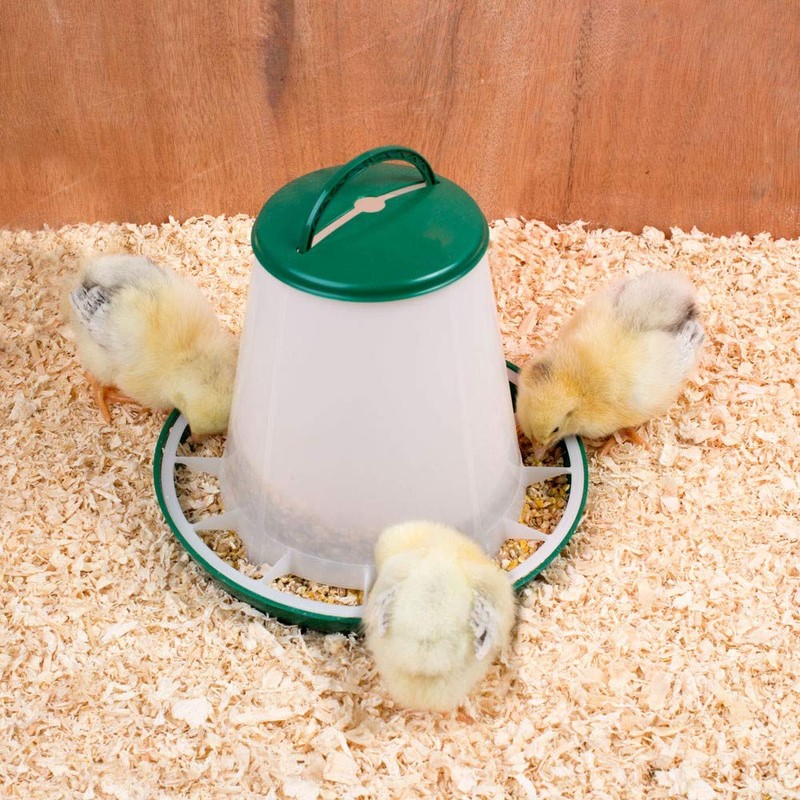 Poultry Feeder 6 kg, Green, Automatic Feeder for Chickens, Feeding