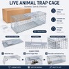 Large Animal Trap Cage for Live Capture – Foldable Stainless