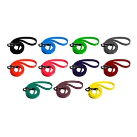 Dogline Biothane Waterproof Dog Leash Strong Coated Nylon Webbing with Black Hardware Odor-Proof for Easy Care Easy to Clean High Performance for Small or Large Dogs Made in USA 4 or 6 ft Lead