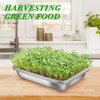 Picowe Stainless Steel Sprouting Trays Seed Sprouting Kit with Stainless