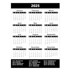 2025 Full Yearly Calendar Magnet by DCM Solutions (Black, 4.5"W x 6"H)