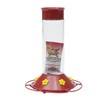 Perky Pet 209B Glass Hummingbird Feeder, 30 Oz, Red (Older