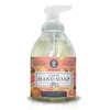 Nature's Oil Foaming Hand Soap, Exotic Grapefruit and Sea Salt,
