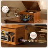 10-in-1 Record Player with Built-in Speakers Wireless Playback, CD &