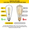 Gozelux Gozelux Vintage LED Edison Bulbs, 6W, Equivalent 60W, High