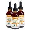 Complejo Vitamina B Orgánico Liquidhealth - 3 Pack