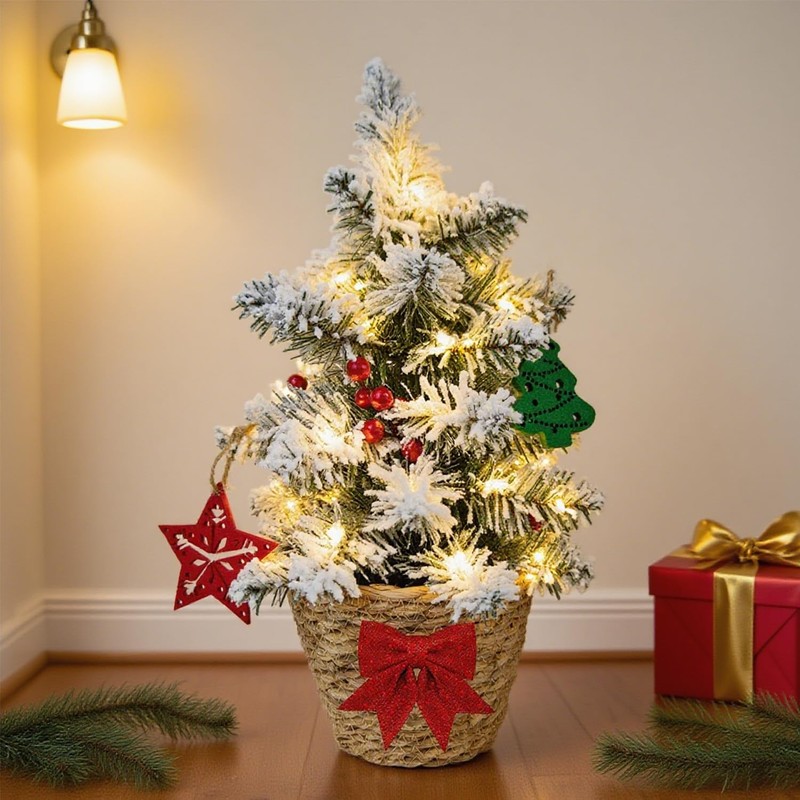 24 Inch 2 FT Pre-lit Snowy Mini Christmas Tree, Brelixo
