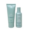 Aveda Scalp Solutions Duo Set - Balancing Shampoo and Replenishing