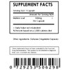 Generic White Mulberry Leaf Extract 4:1 Capsules (500mg Each) -