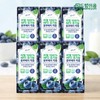 드림이음 6 boxes of real 100% NFC organic blueberry sticks