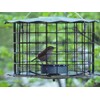 Erva Starling-Proof Barrier Guard Bluebird Feeder with Glass Mealworm Cup