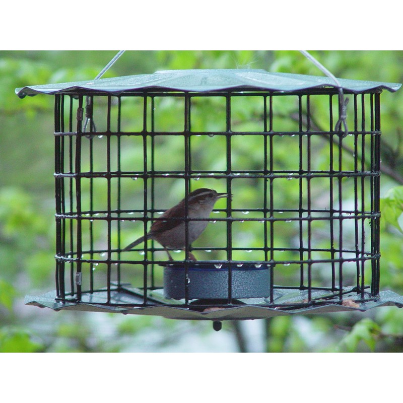 Erva Starling-Proof Barrier Guard Bluebird Feeder with Glass Mealworm Cup