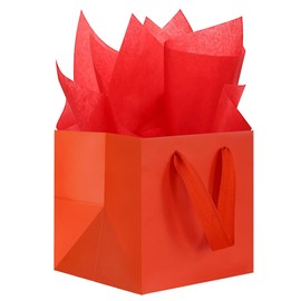 KEYYOOMY Red Square Gift Bags with Tissue Paper Medium Size Gift Bags with Handles for Party Favor Bags Birthday Gift Bags (10CT, 8x8x8 in, Red)