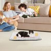 Warming Cat Bed, Soft Pet Cat Self-Heated Sleeping Mat, Non-Slip