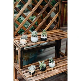 Small Ceramic Succulent Planter Pots with Drainage Hole Set of 6 and 2 Inch Planter Pot Bamboo Saucer Round Set of 6