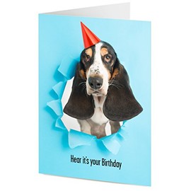 'Hear it's your Birthday' Basset hound wearing party hat bursts through blue paper background – Birthday card