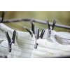 Wäscheklammern Mod. Bolt 24er Set extra Lange 8 cm Spannweite