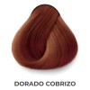 Tinte Kuul Reflects Dorado Cobrizo 90g + Peroxido 30 Vol
