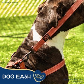Good Scout 5' Heavy Duty Dog Leash for Medium Dogs, Durable Walking & Training Leash for Puppies & Adult Dogs, D-Ring for Waste Bag Storage, Brick
