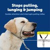 PetSafe Gentle Leader Headcollar No-Pull Dog Collar - Helps Improve
