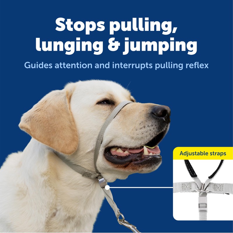PetSafe Gentle Leader Headcollar No-Pull Dog Collar - Helps Improve