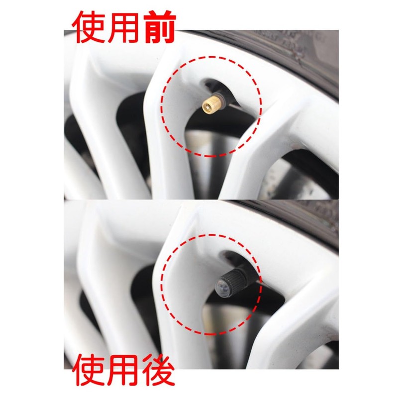 bk-20s Air Valve Cap for Automobiles [With Sealed Gasket Ring]