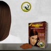 5 HENNA TINTE PARA CABELLO (CAFE ESPECIAL) HASHMI | LO
