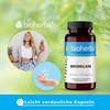 Bromelain 200 mg, 100 capsules
