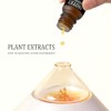 Hotel Collection Luxury Scent for Diffuser Oils Set Inspired by