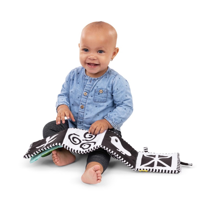 Baby Einstein Baby Einstein Farm Explorers Counting at The Farm