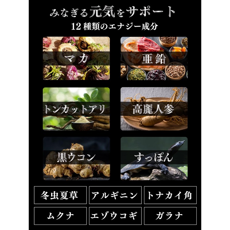 WinsUp（ウィンズアップ） Energy Rise マルチビタミン サプリメント マカ 亜鉛 トンカットアリ アルギニン ガラナ