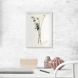 Box Frames White Picture Frame - 8X10 Deep Shadow Box for Crafts Display Boxes for Pictures Flowers Tabletop or Wall (White430,Depth 3cm)