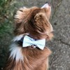 Unique style paws Dog Collar with Detachable Bow tie, Adjustable