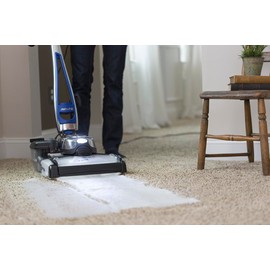 Kirby Carpet Shampoo, 1 Gallon – Lavender Scent, Deep Cleaning Solution for Home & Pet Stains