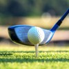 Professional Wooden Golf Tees 2 3/4 inch Tee Pack of