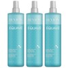 REVLON PROFESSIONAL Equave Instant Beauty Instant Love Hydro Detangling Conditioner,