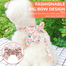 BAEJMJK Dog Harness and Leash Set with Bow Knot No Pull Pet Floral Harness with D-Ring Soft Mesh Dog Harness Vest Set Escape Proof Princess Puppy Harness for Small Girl Dogs Cats（Orange L）
