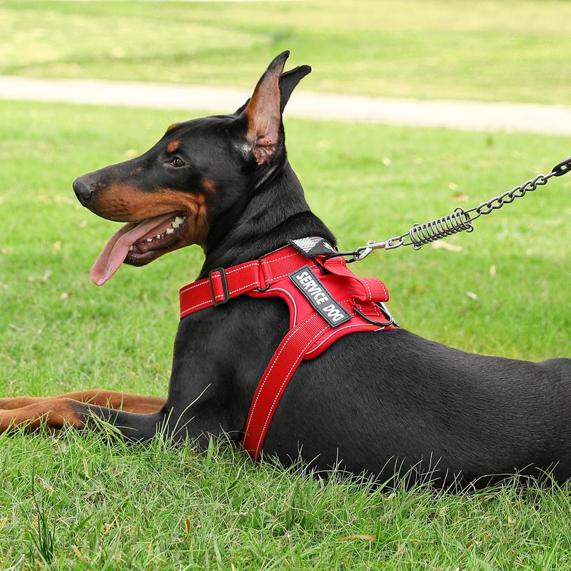 Demigreat Service Dog Harness, Reflective Dog Vest Harness with 5