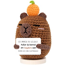 SelfTek Positive Capybara Cuddly Toy - Capybara Things Emotional Support, Lucky Charm Capybara Plush Toy Table Decoration, Motivational Gifts, Funny Gifts for Friend, Family, Dear, Yourself