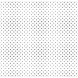 Deleter Screen SE-60