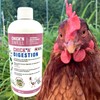 Chick’N Digestion for Poultry of All Ages and All Fowl